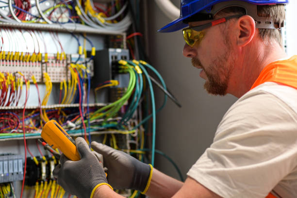 Best Electric Panel Repair  in Glenwood, MN