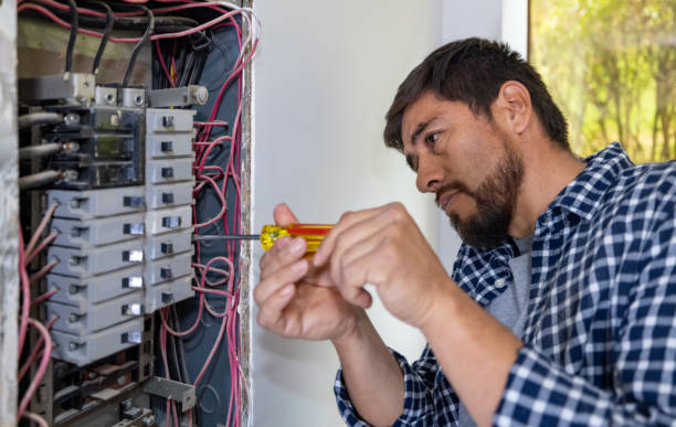 Best Licensed Electrician  in Glenwood, MN